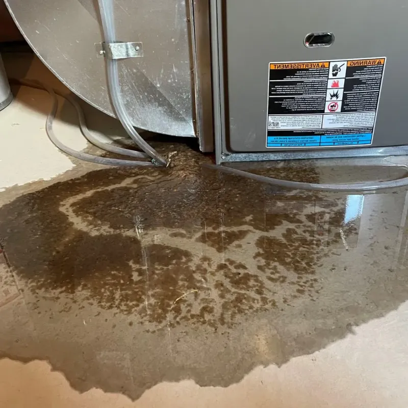 Pipe Burst and Leak Restoration in Napa, CA